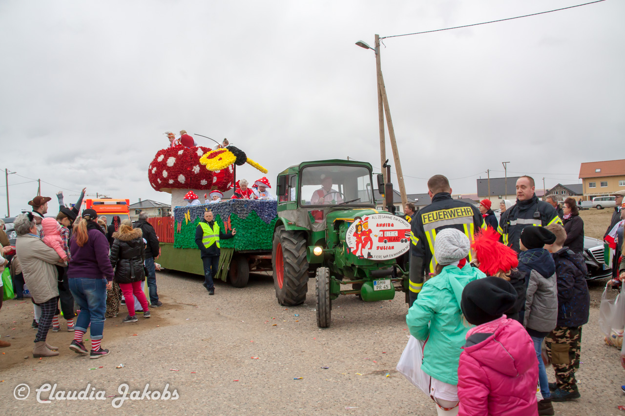 20170228161121 IMG 5350