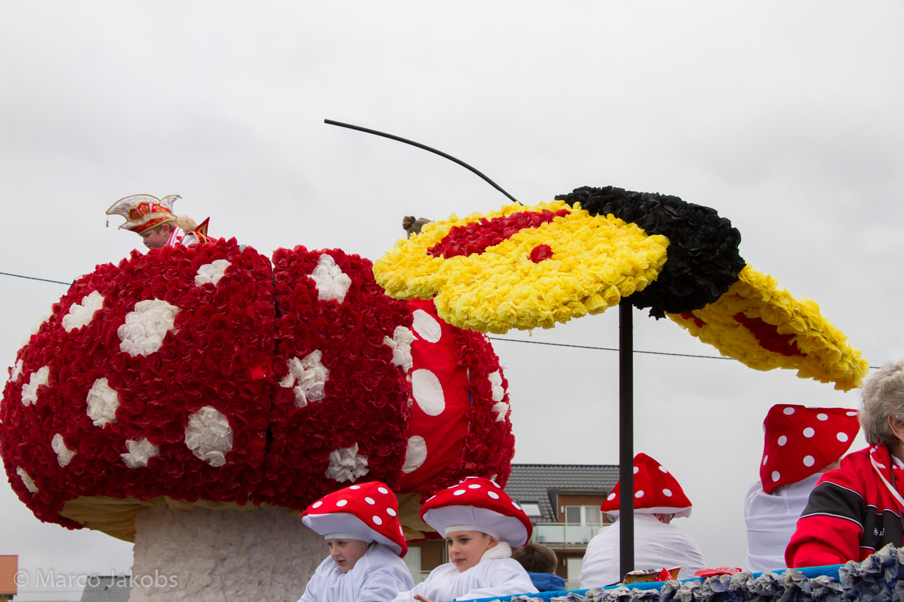 20170228161122 MJ  5409