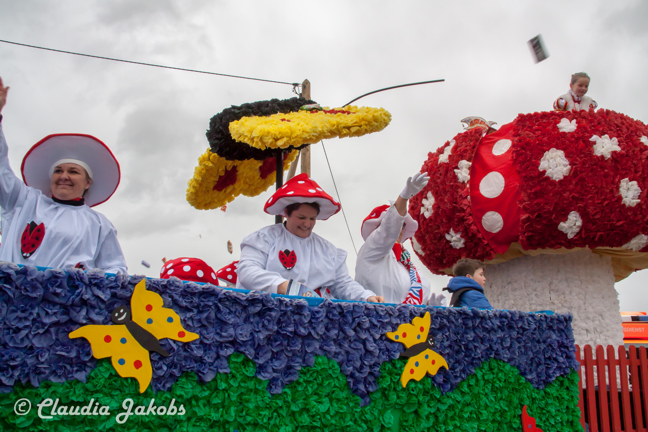 20170228161143 IMG 5361