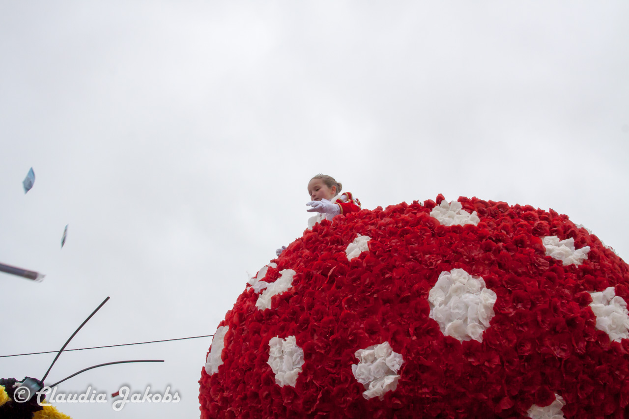 20170228161151 IMG 5365