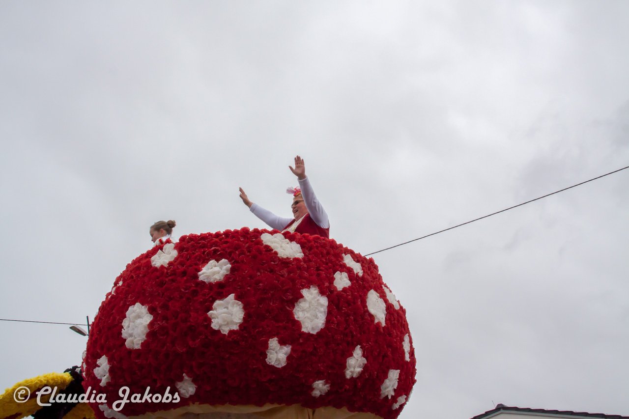 20170228161157 IMG 5369