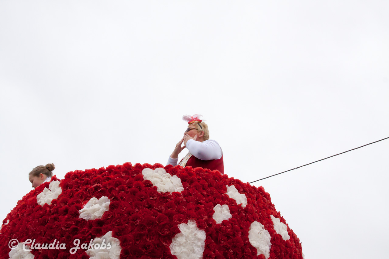 20170228161158 IMG 5370