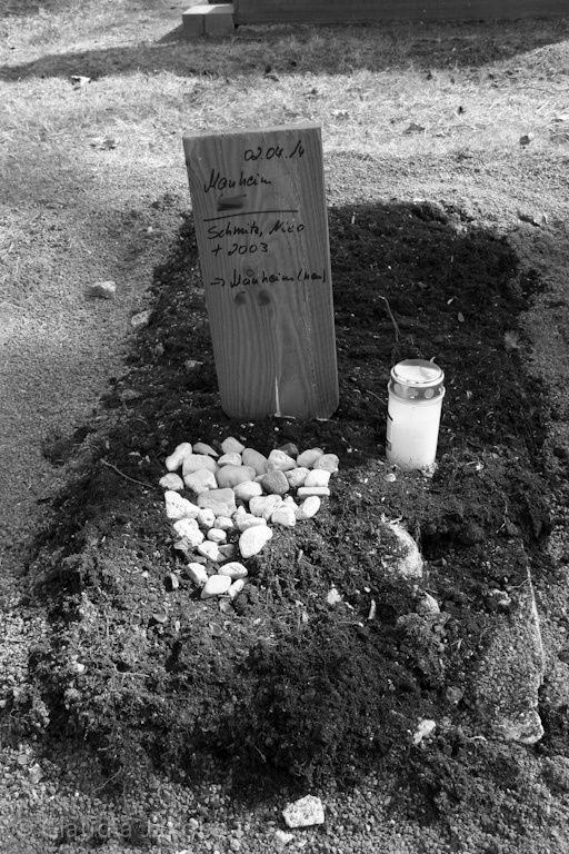 140329143740 IMG 6925