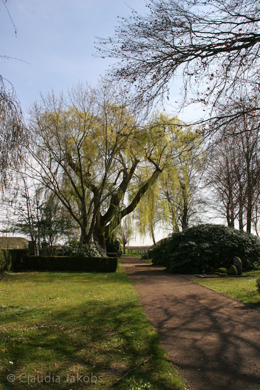 140329144006 IMG 6933