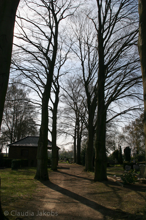 140329144153 IMG 6938