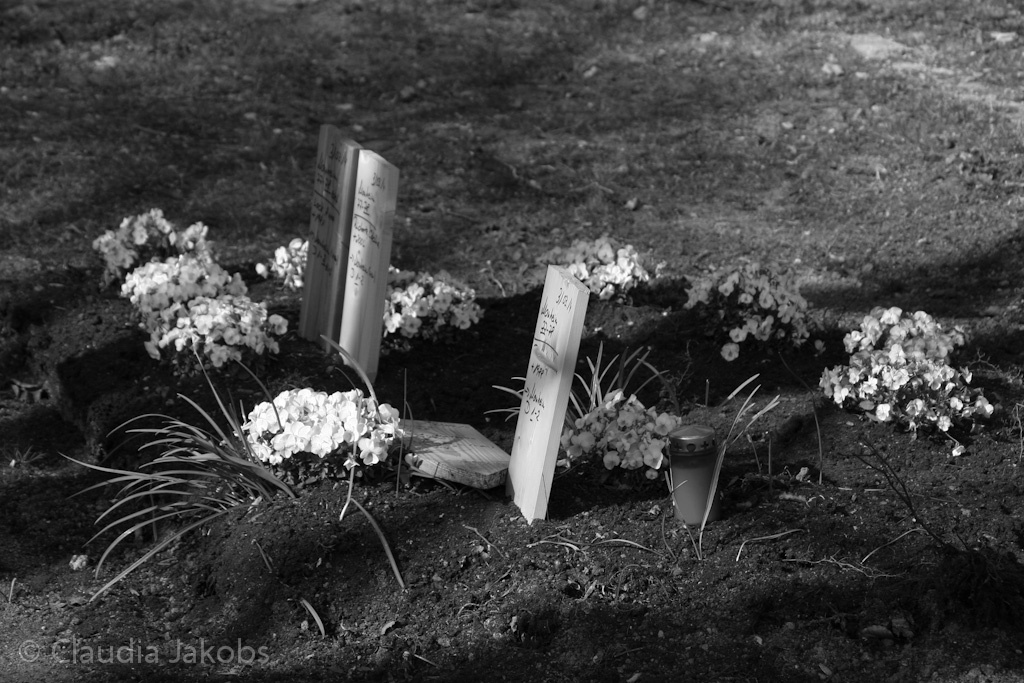 140329144356 IMG 6945