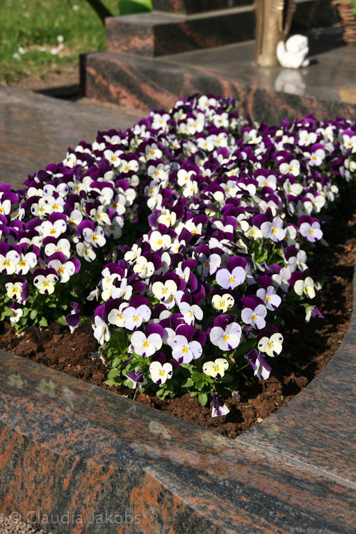 140329144755 IMG 6953