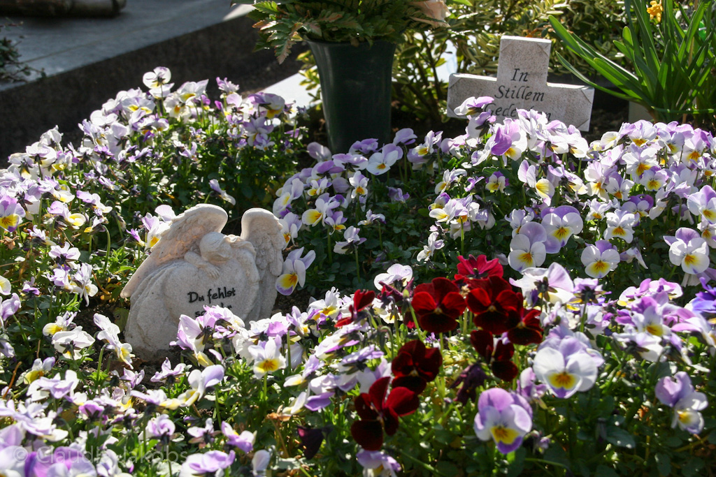 140329144825 IMG 6954