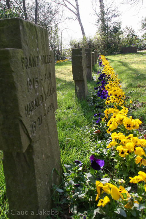 140329144938 IMG 6956