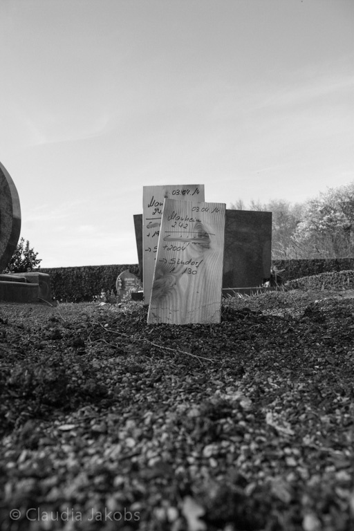 140329145100 IMG 6959