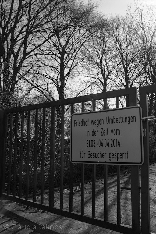 140329145447 IMG 6968