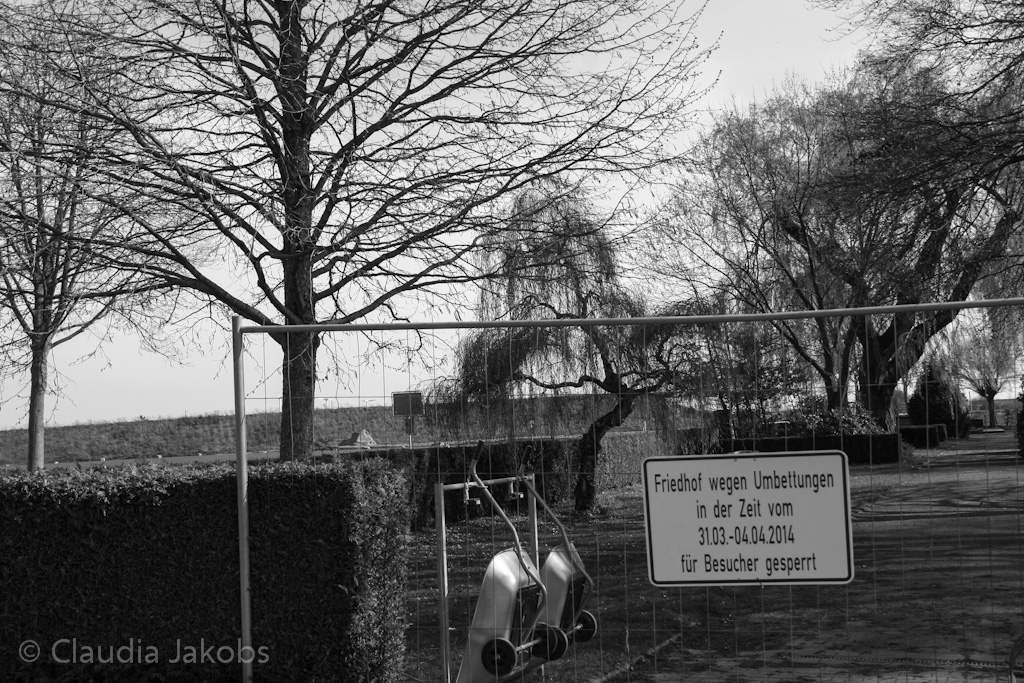 140329145511 IMG 6969