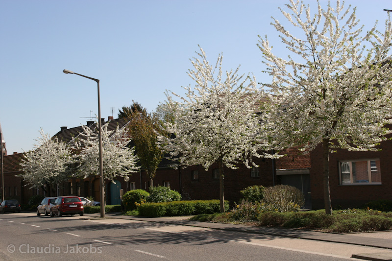 110411140023 IMG 6709