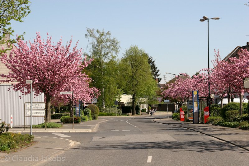 110411140320 IMG 6714