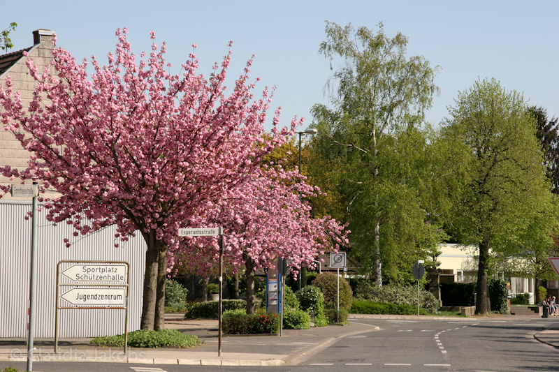 110411140329 IMG 6716