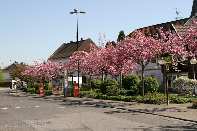 110411140352 IMG 6718