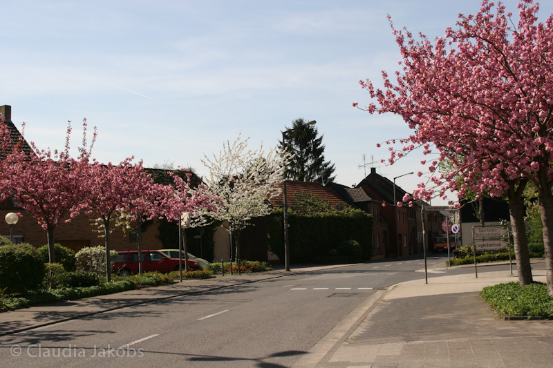 110411140609 IMG 6725