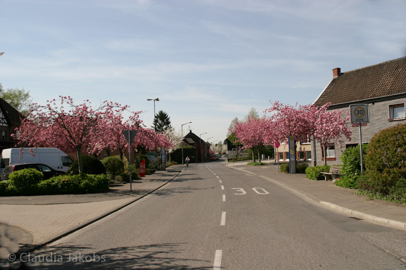 110411140703 IMG 6727