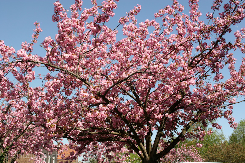 110411140835 IMG 6731