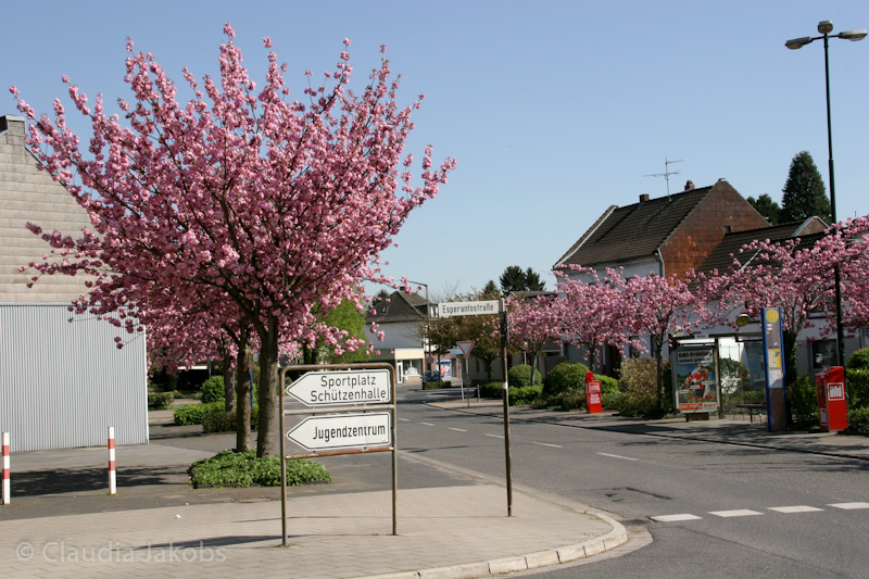 110411140934 IMG 6734