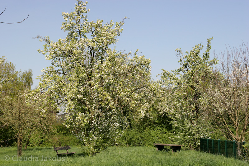 110411141543 IMG 6738