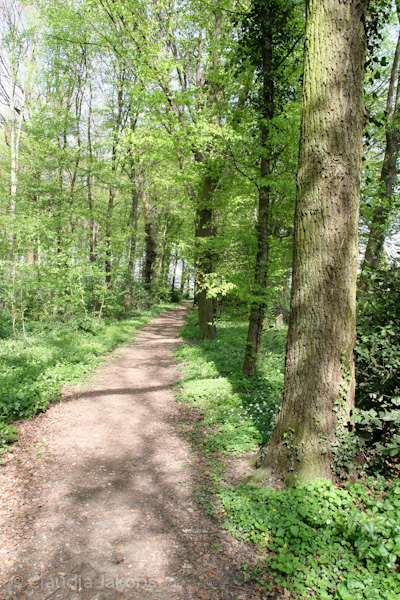 110411144455 IMG 6744