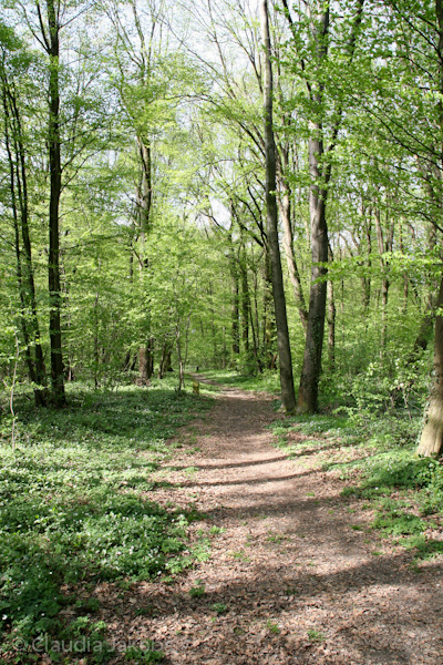 110411144604 IMG 6747