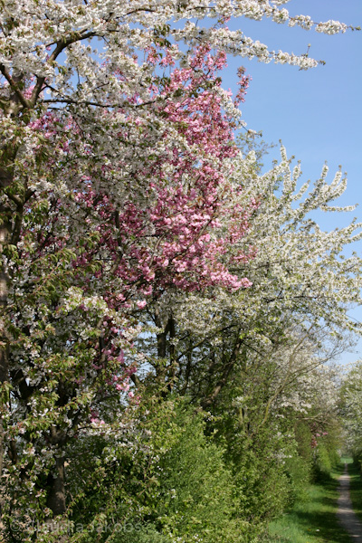 110411145022 IMG 6750