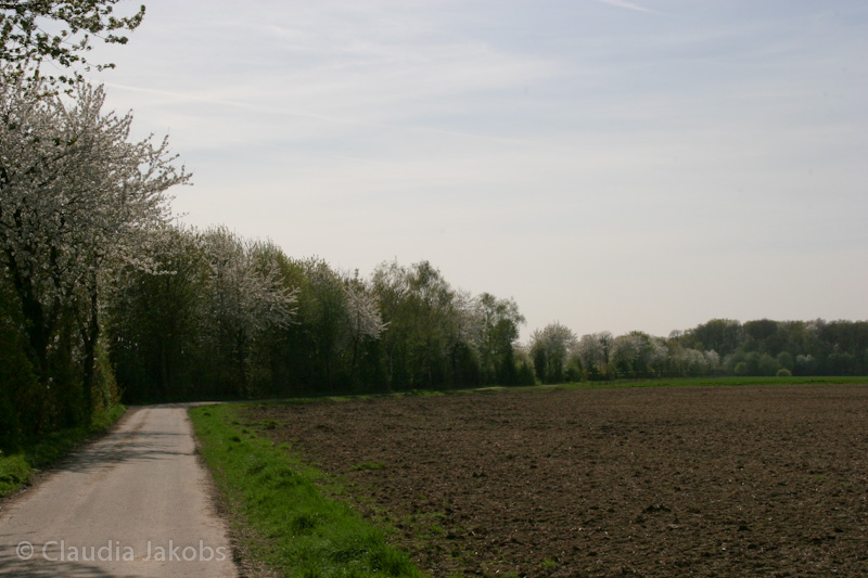 110411145510 IMG 6754