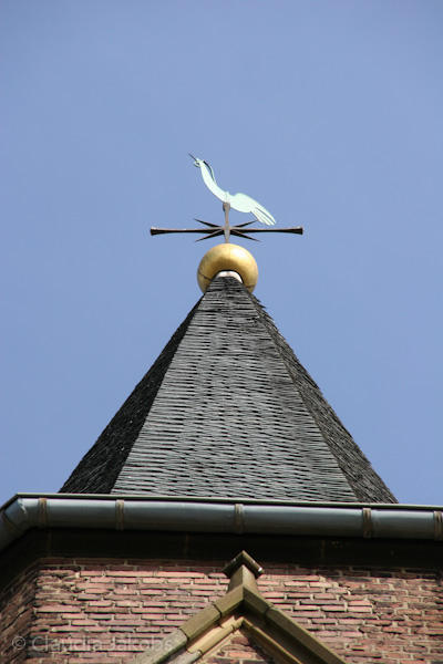 110411151132 IMG 6784