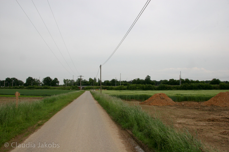 090521151651 IMG 4585