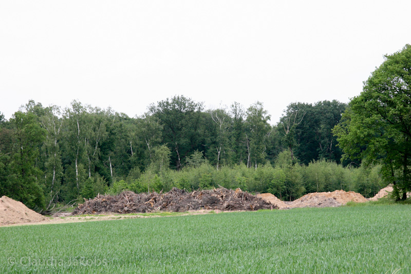 090521152123 IMG 4588