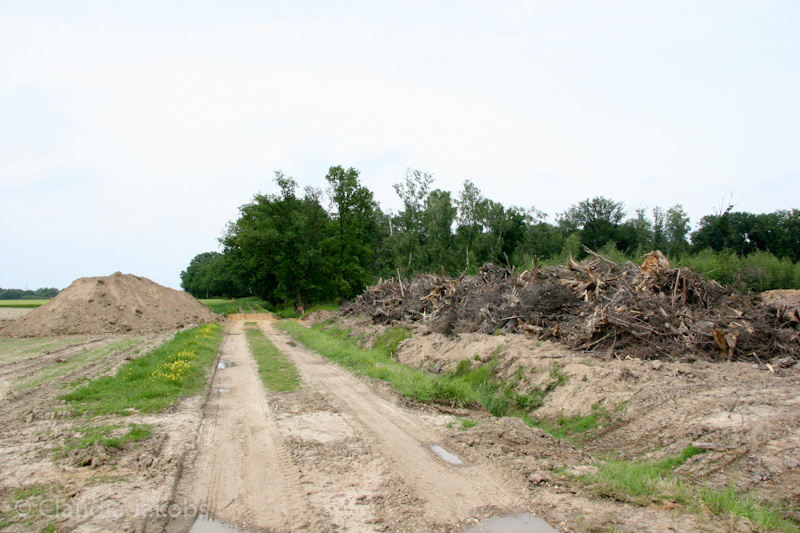 090521152515 IMG 4593