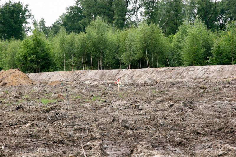 090521152905 IMG 4595