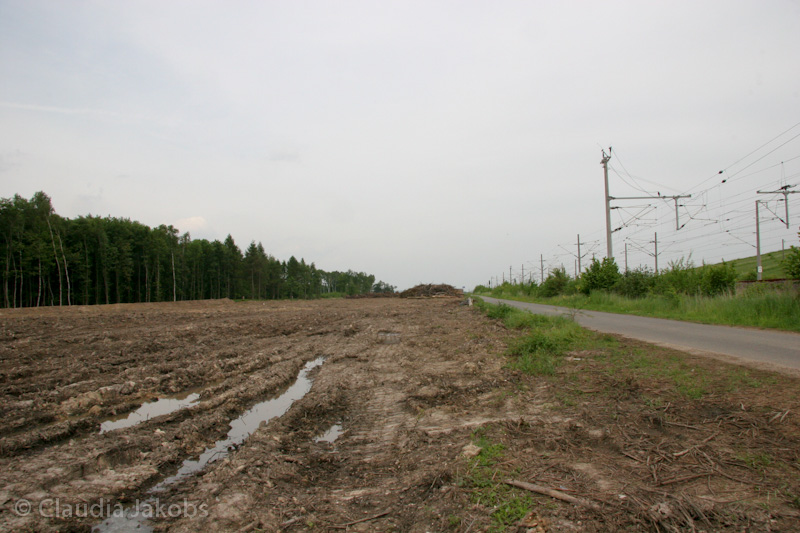 090521152917 IMG 4597