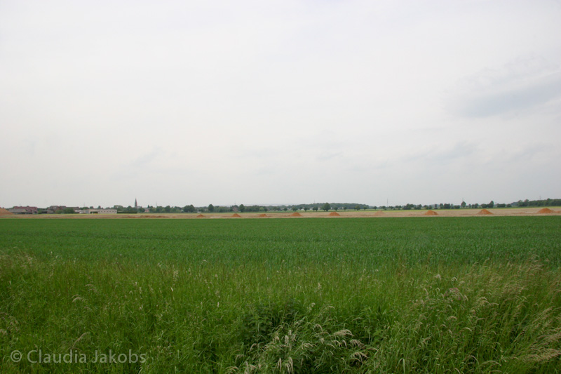 090521153318 IMG 4600