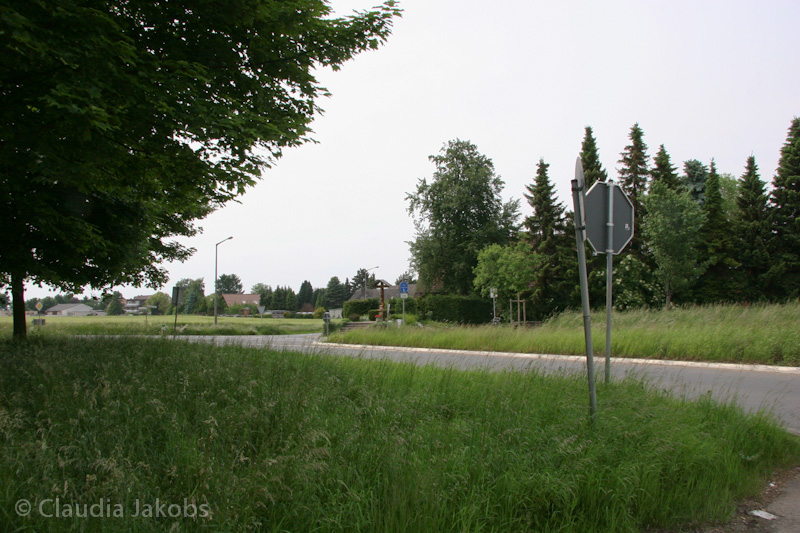 090521155150 IMG 4613