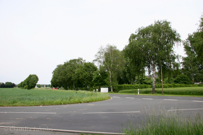 090521160038 IMG 4620