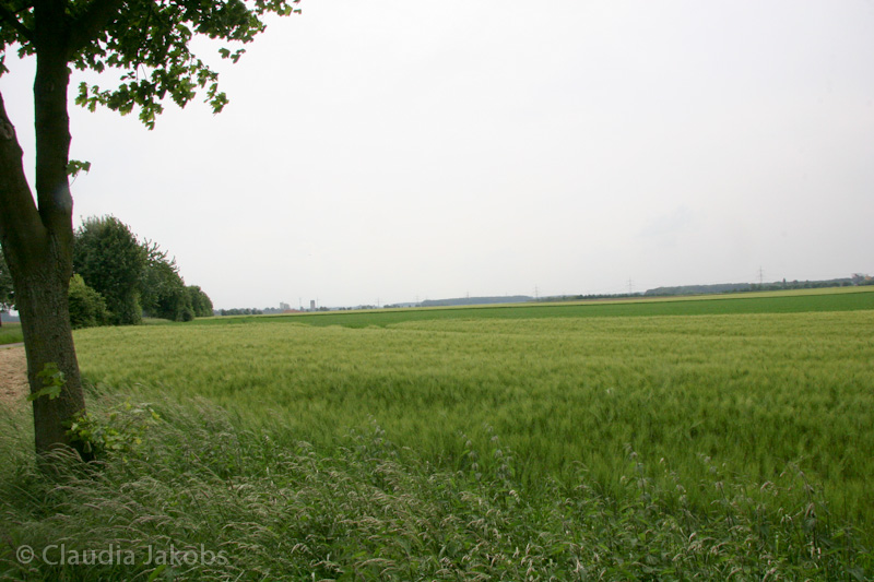 090521160122 IMG 4626