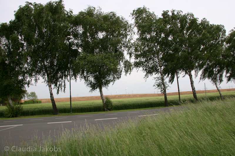 090521160141 IMG 4628