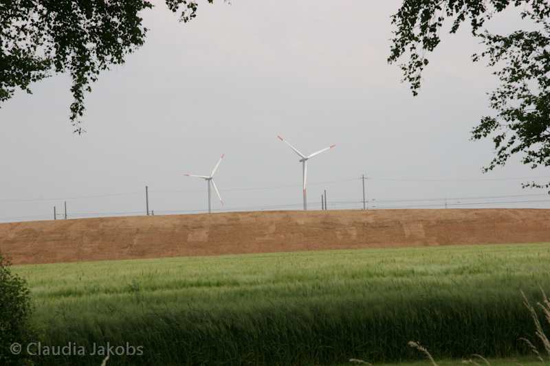 090521160150 IMG 4629