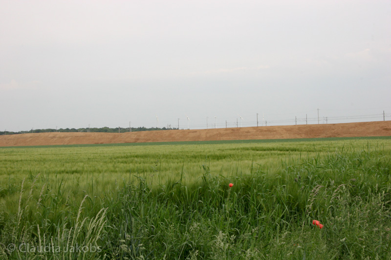 090521160636 IMG 4631