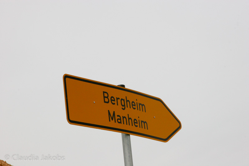 090521162342 IMG 4654