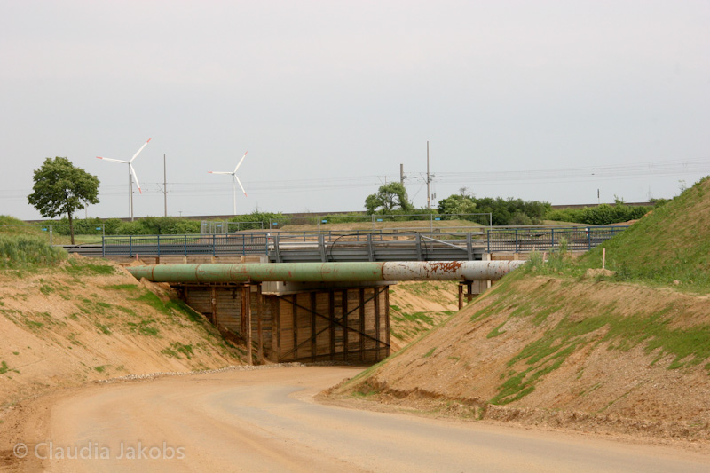 090521162521 IMG 4656