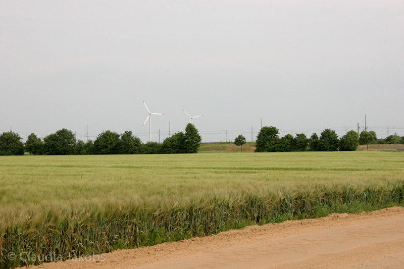 090521163047 IMG 4662