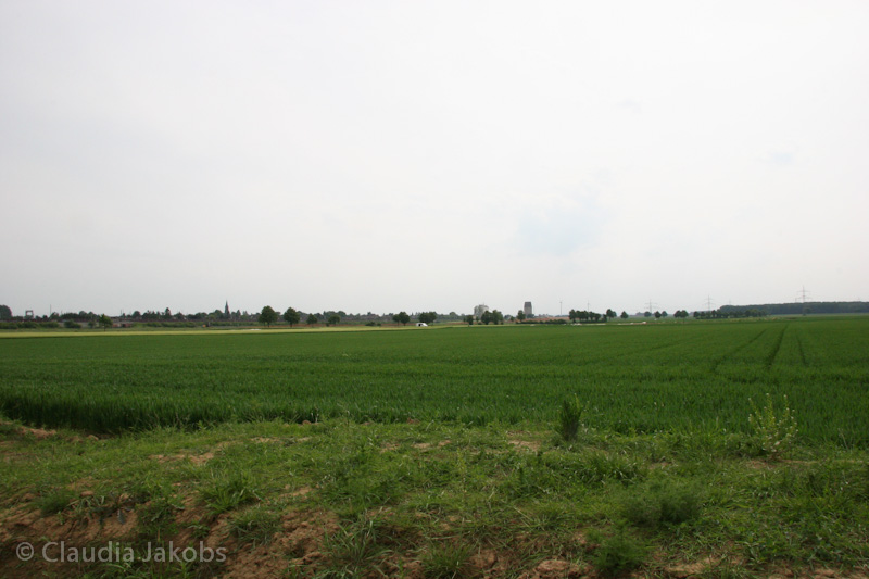 090521163058 IMG 4664