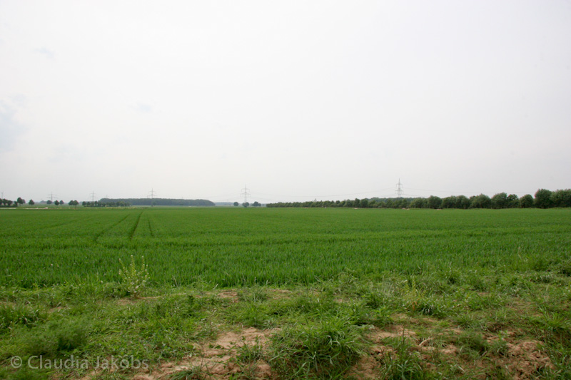 090521163101 IMG 4665