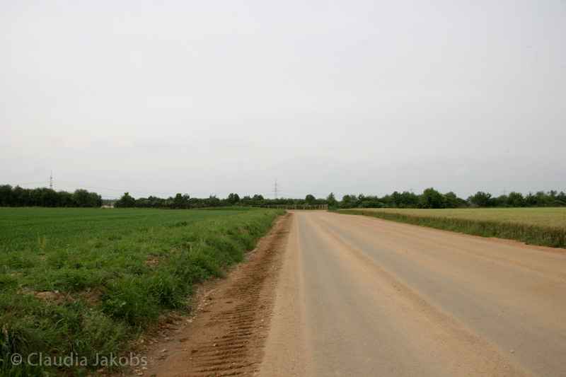 090521163106 IMG 4666