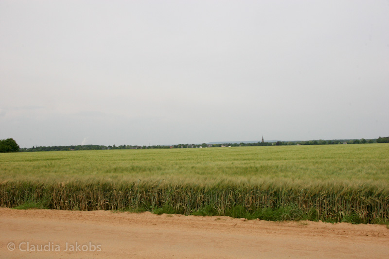 090521163115 IMG 4667