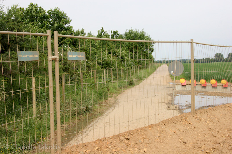 090521163252 IMG 4668